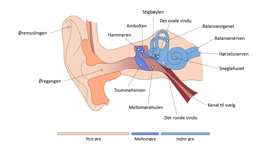 Diagram, radardiagram