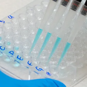 En plastpose med en blå plastpose på