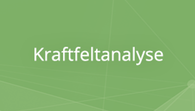 KF-Kraftfeldtanalyse