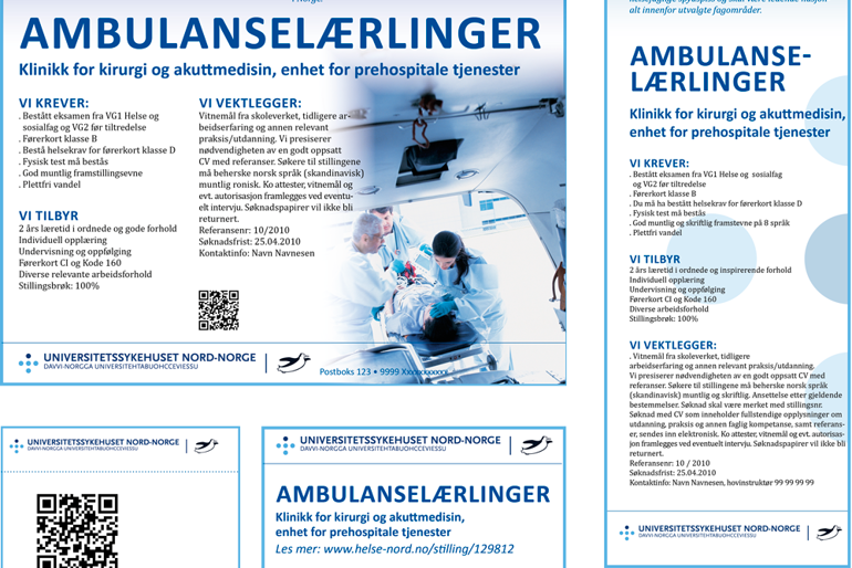 Eksempler på stillingsannser