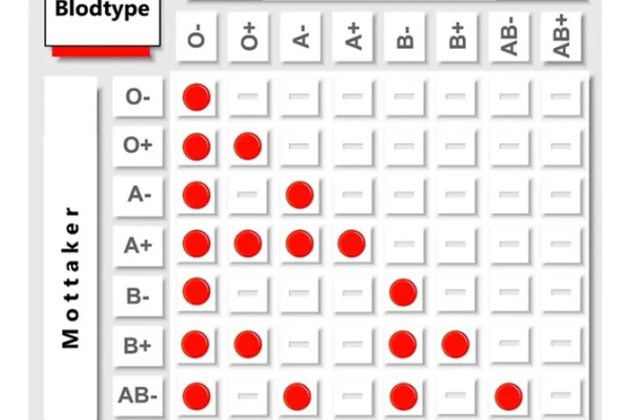 Kompabilitet mellom blodgivere og blodmottakere